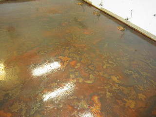seal coatings - South Carolina
